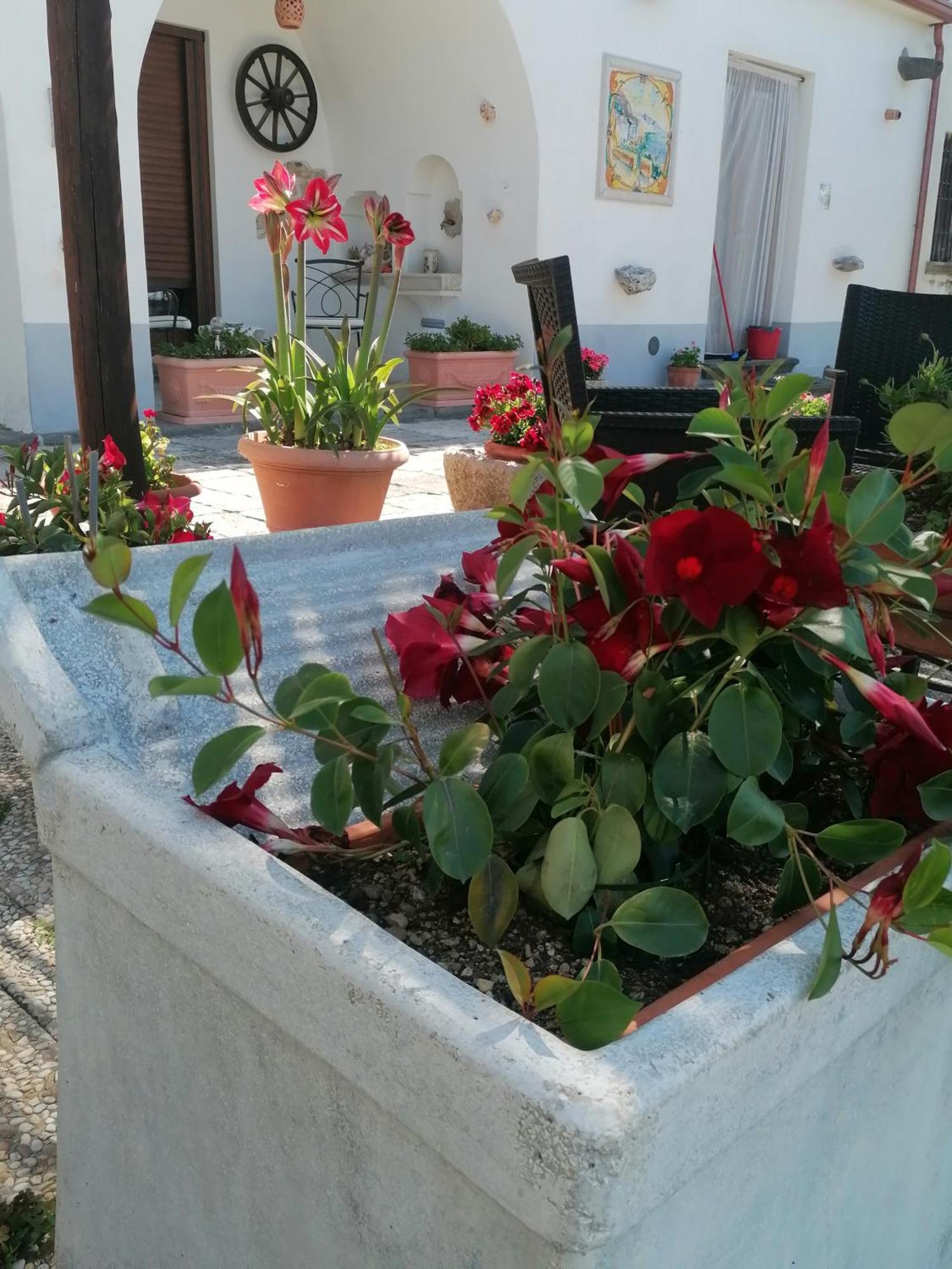 Il Casale Del Generale Bed & Breakfast Agerola Dış mekan fotoğraf