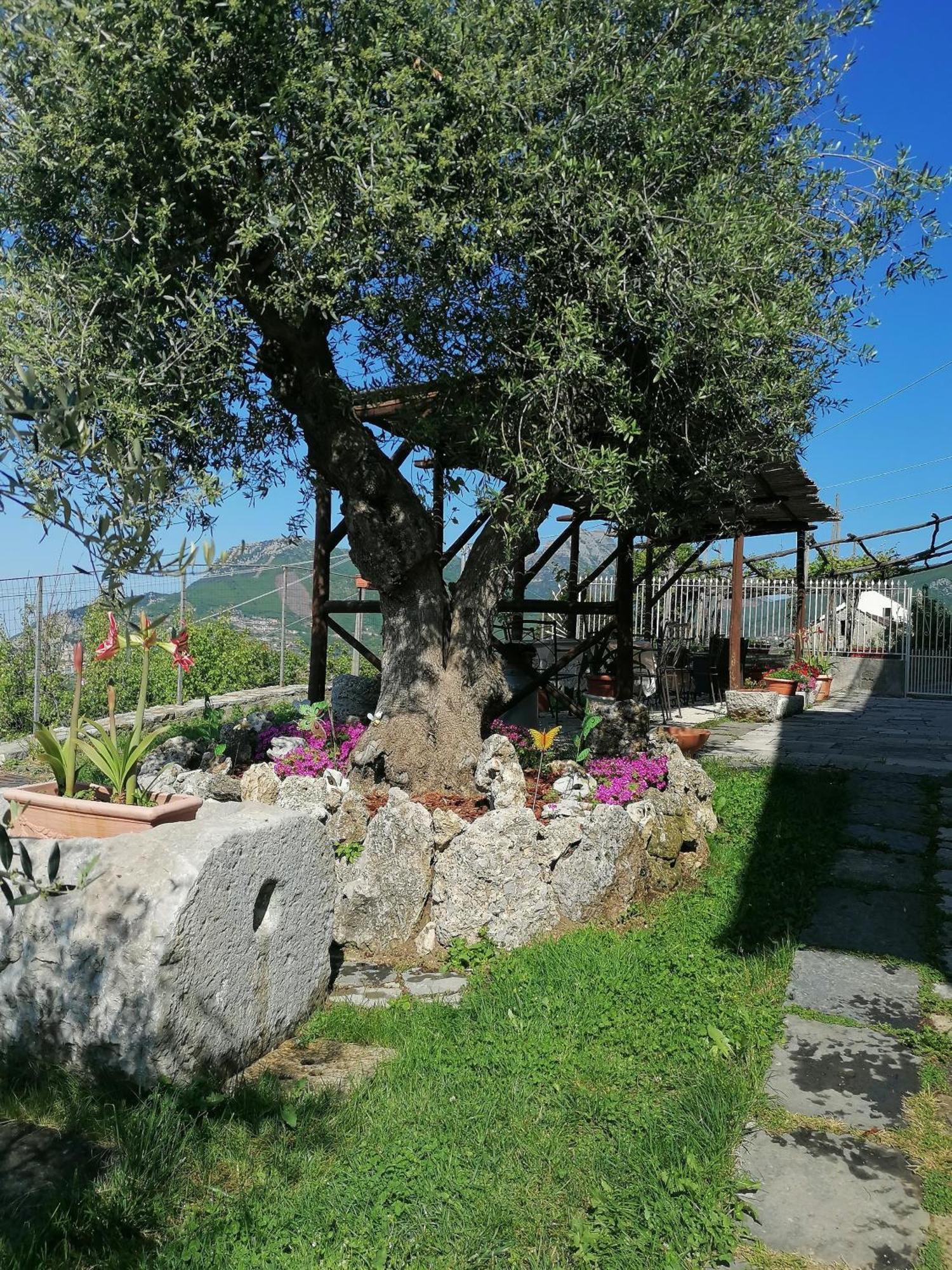 Il Casale Del Generale Bed & Breakfast Agerola Dış mekan fotoğraf